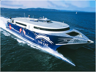 cat-ferry.jpg